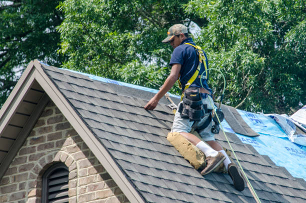 Best Gutter Installation and Roofing  in Livonia, LA